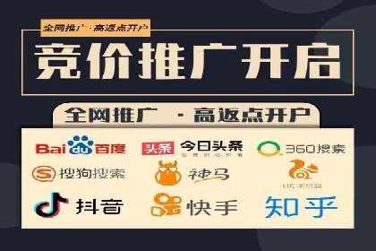 百度SEO推广案例：优化策略与效果对比
